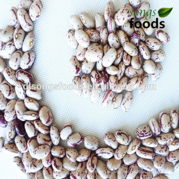 Chinese Pulse Of All Variety Beans